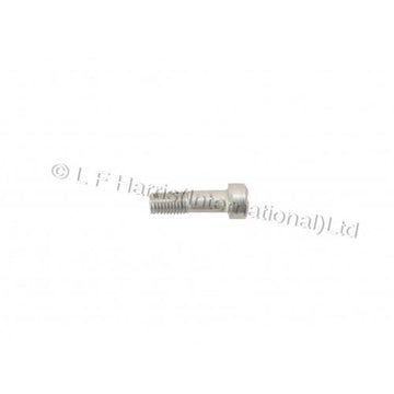 217036 - CLUTCH LEVER PIVOT SCREW 1979/83