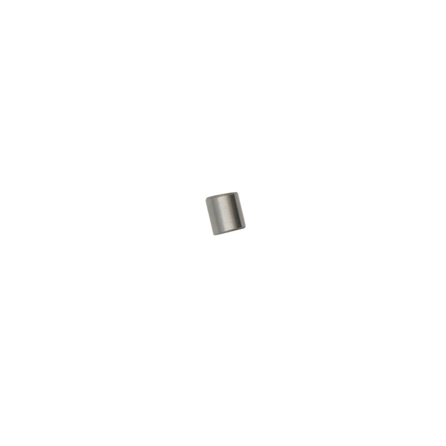 570989 - DOWEL