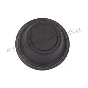 604366 - M/CYLINDER DIAPHRAM