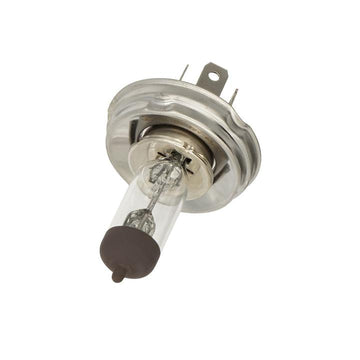 068019 - HALOGEN GLOBE P45T 60/55W