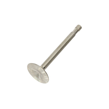 701956 - 5T/T100 EXHAUST VALVE