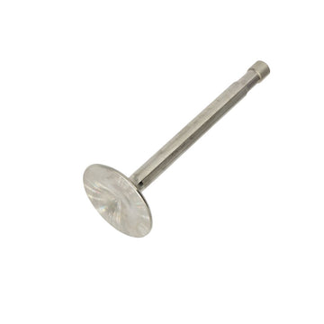 703927 - T110 EXHAUST VALVE