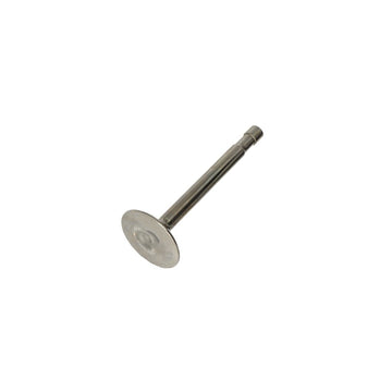 704013 - C RANGE EXHAUST VALVE 5TA/T100 EARLY