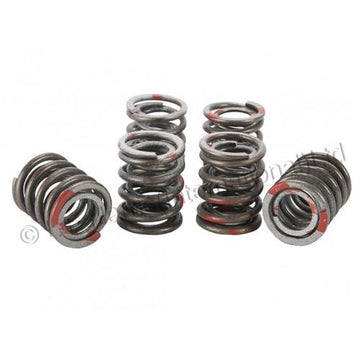 999954 - T150/T160 VALVE SPRING SET